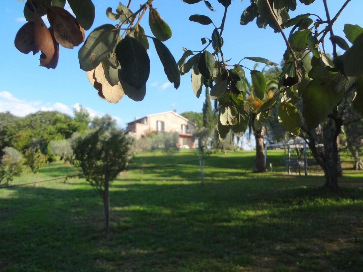 Tenuta De Fanti Agriturismo بيبونا المظهر الخارجي الصورة